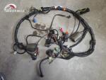 Klikněte pro detailní foto č. 1 - Hlavní elektrický rozvod Honda CBF 600S