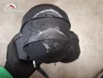 Klikněte pro detailní foto č. 8 - Budíky Honda CBF 500